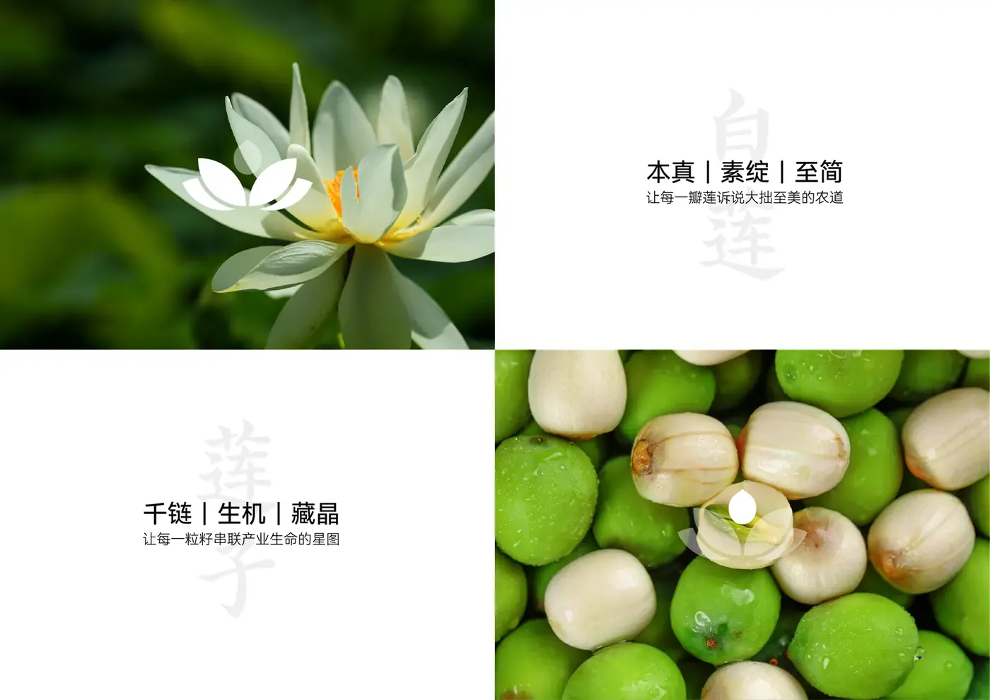 赣莲 完整提案第 3 页