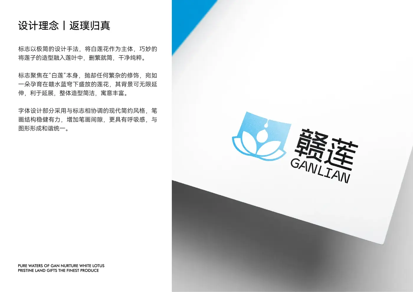赣莲 完整提案第 5 页