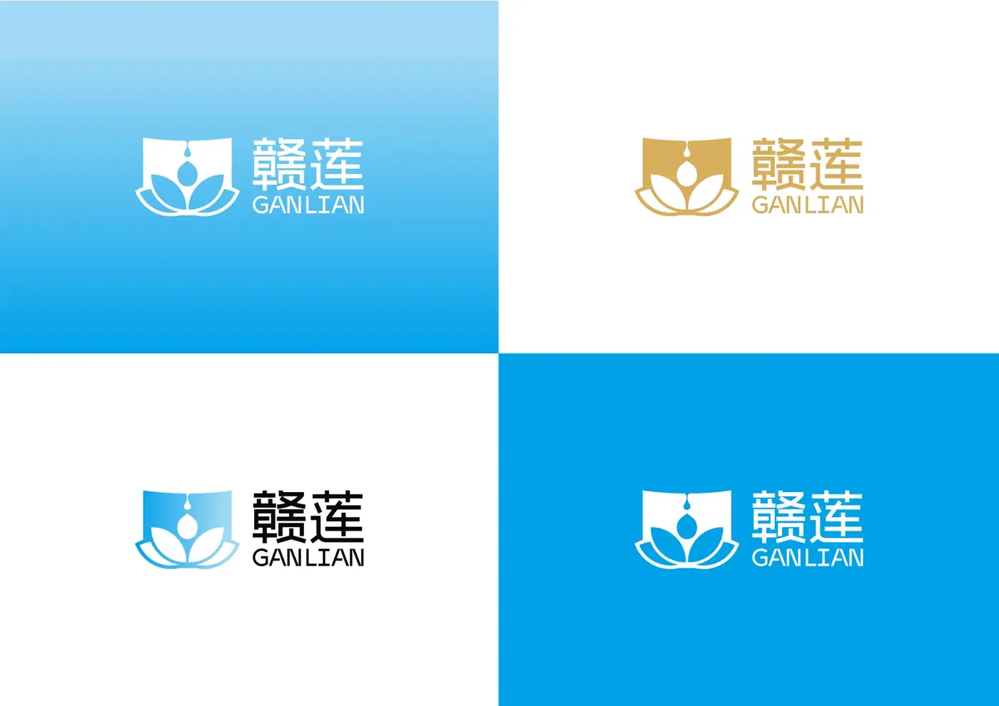 赣莲 完整提案第 12 页