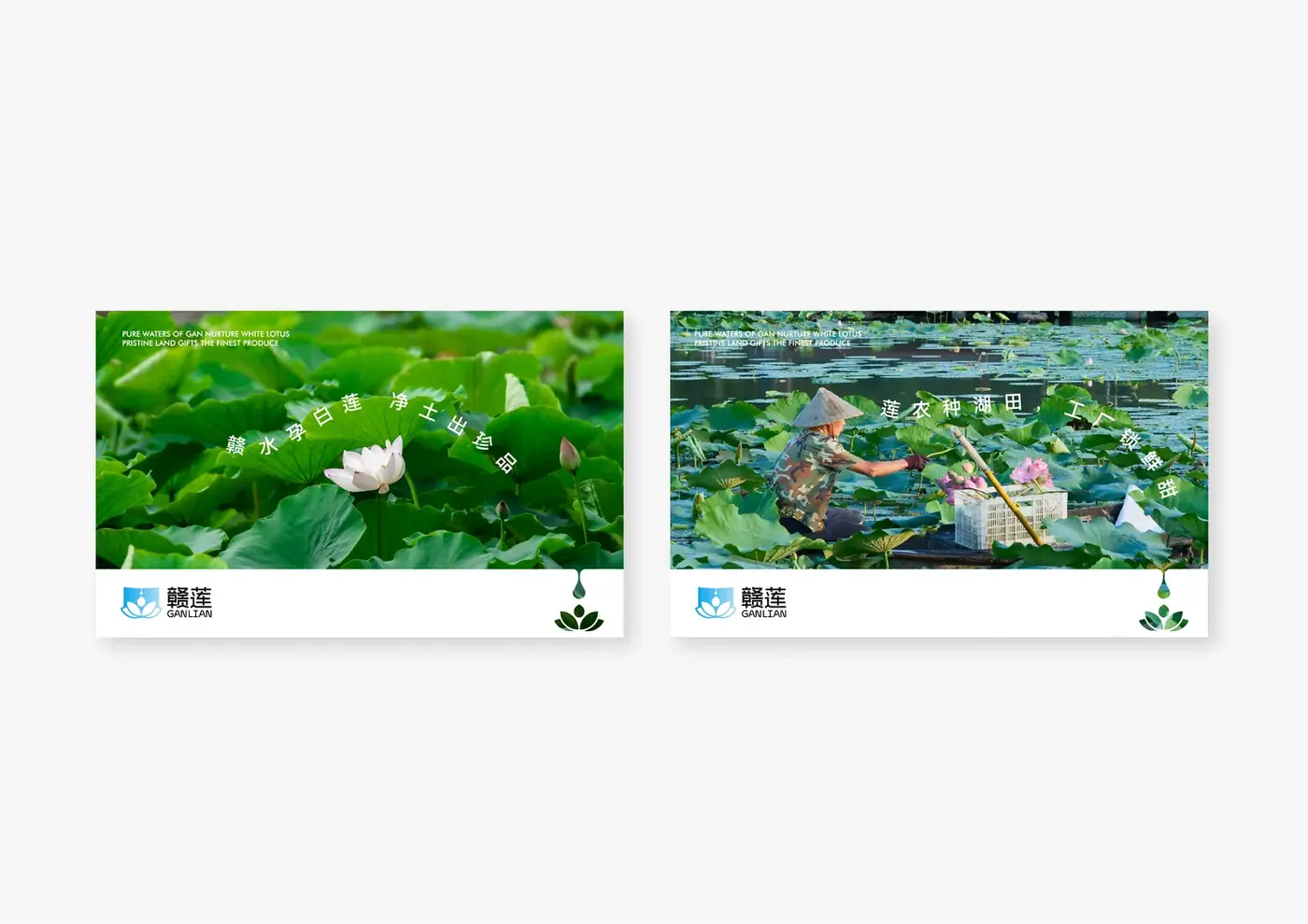 赣莲 完整提案第 15 页