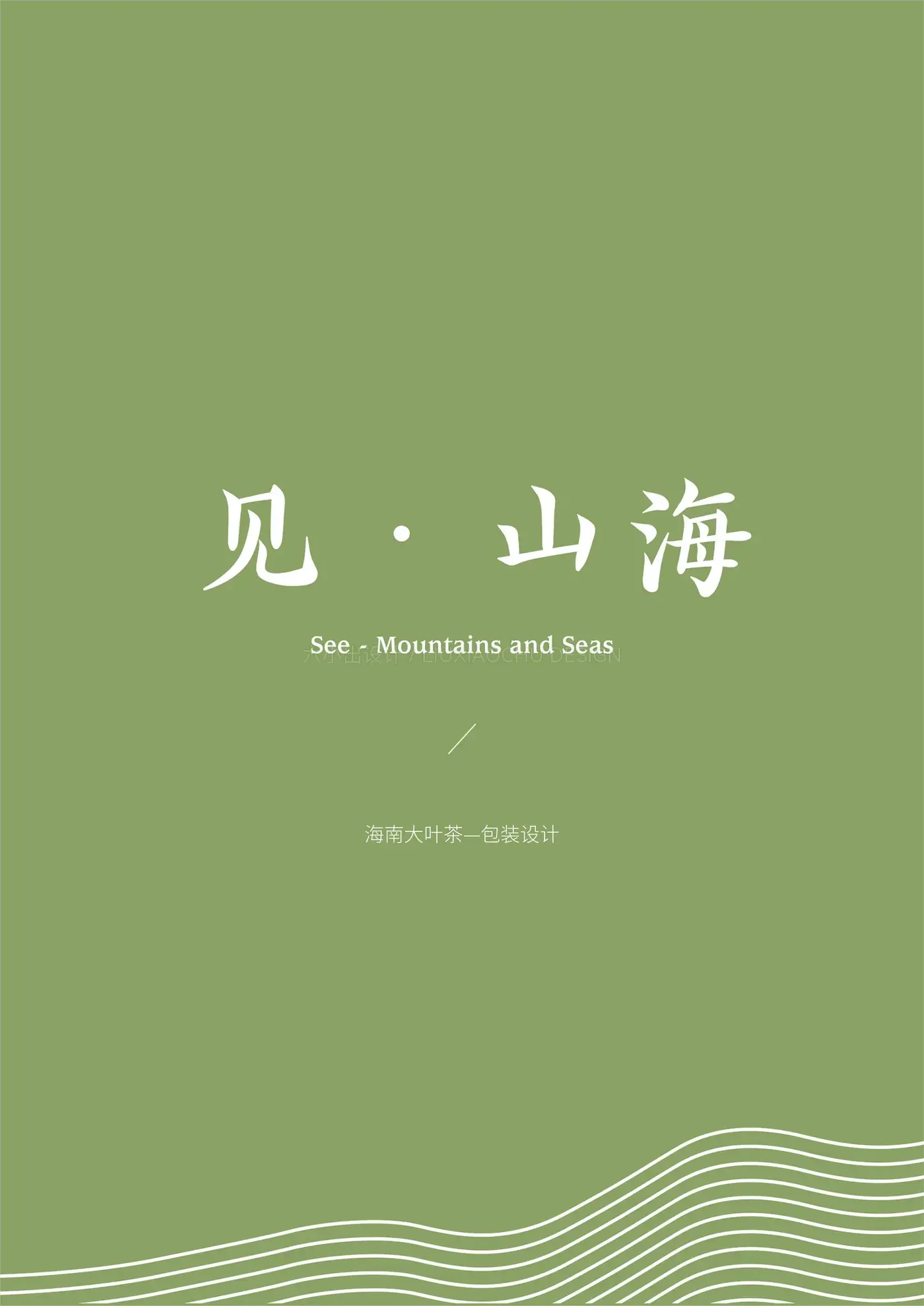 海南大叶茶 完整提案第 1 页