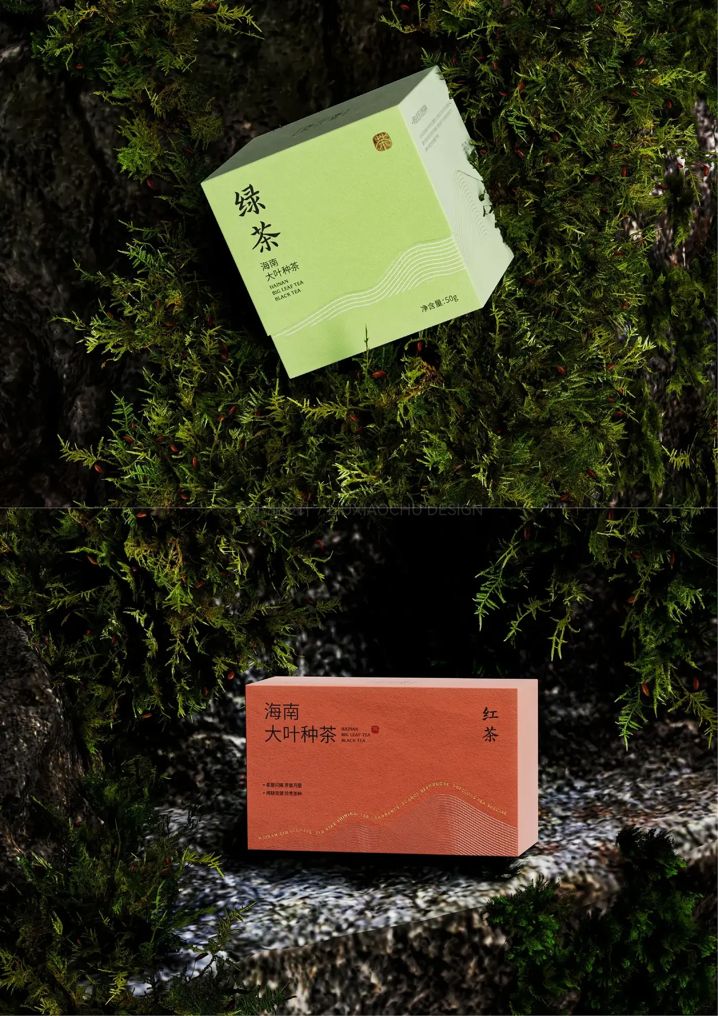 海南大叶茶 完整提案第 14 页