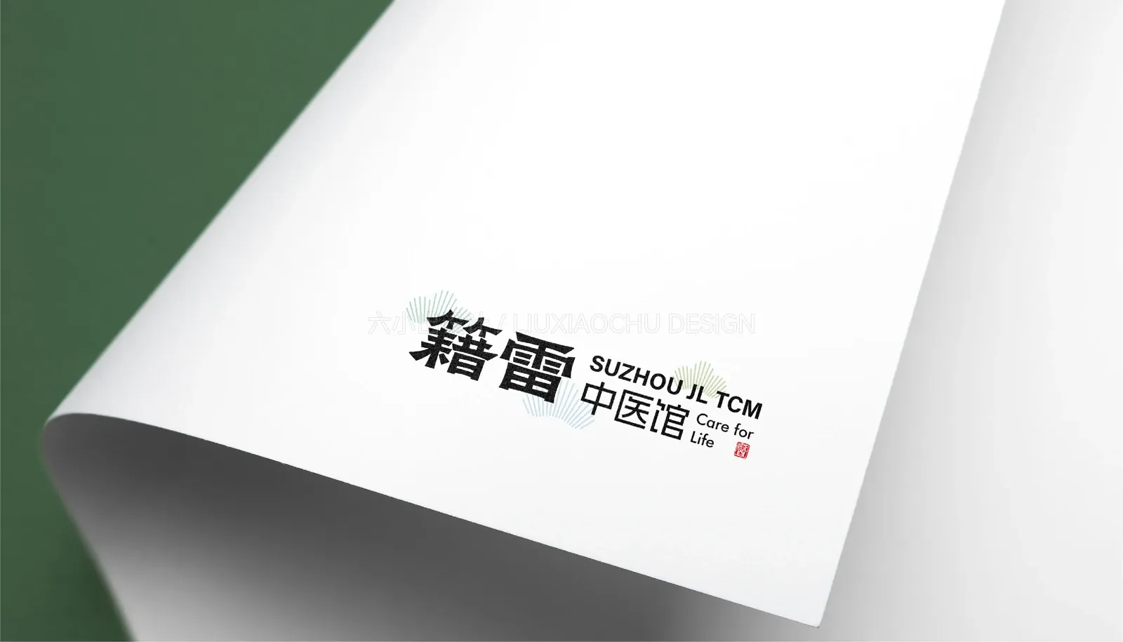 苏州籍雷中医 项目效果图