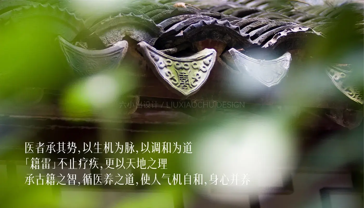 苏州籍雷中医 完整提案第 24 页