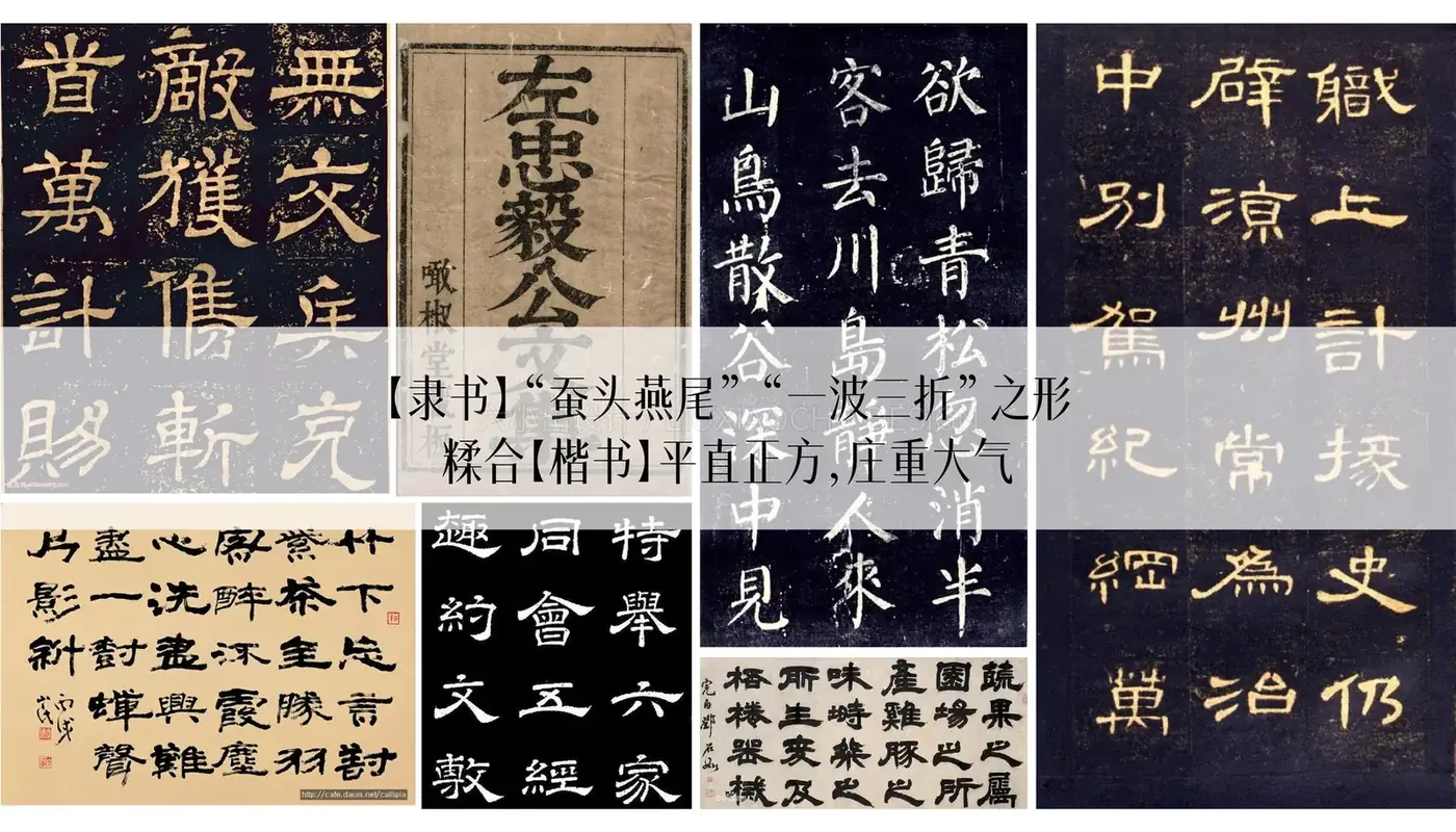 苏州籍雷中医 完整提案第 27 页