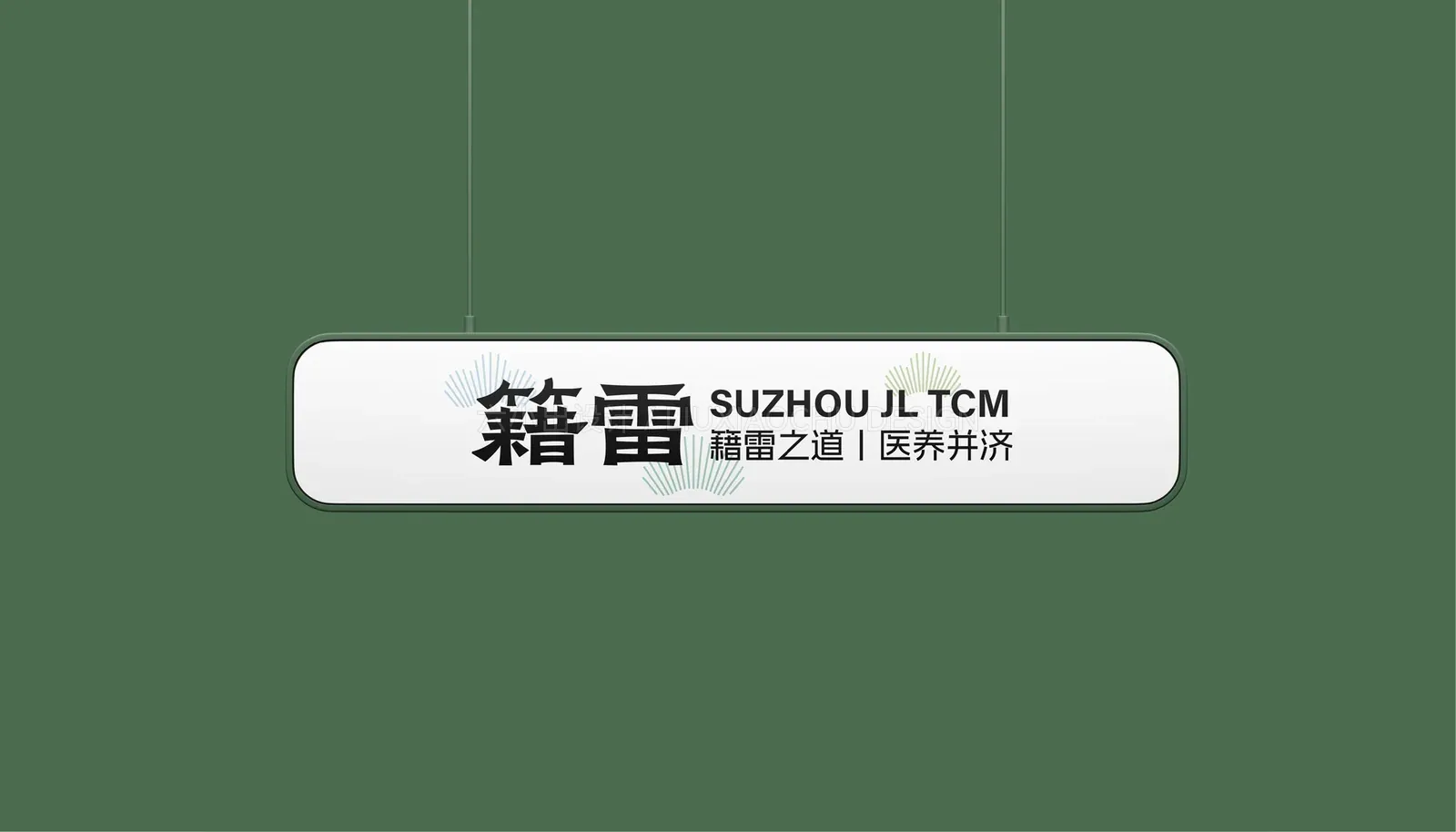 苏州籍雷中医 项目展示 6