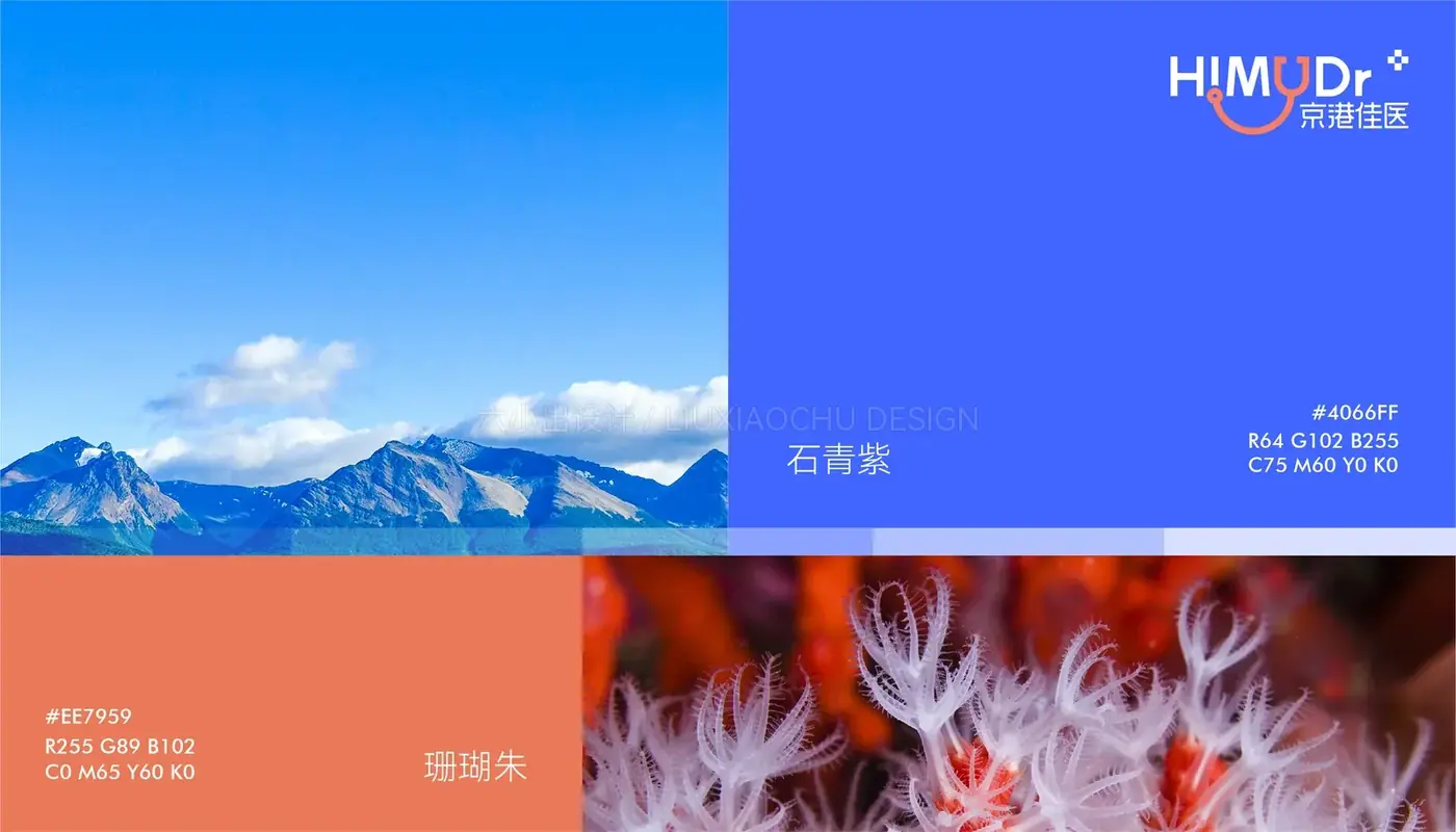 京港佳医 完整提案第 13 页