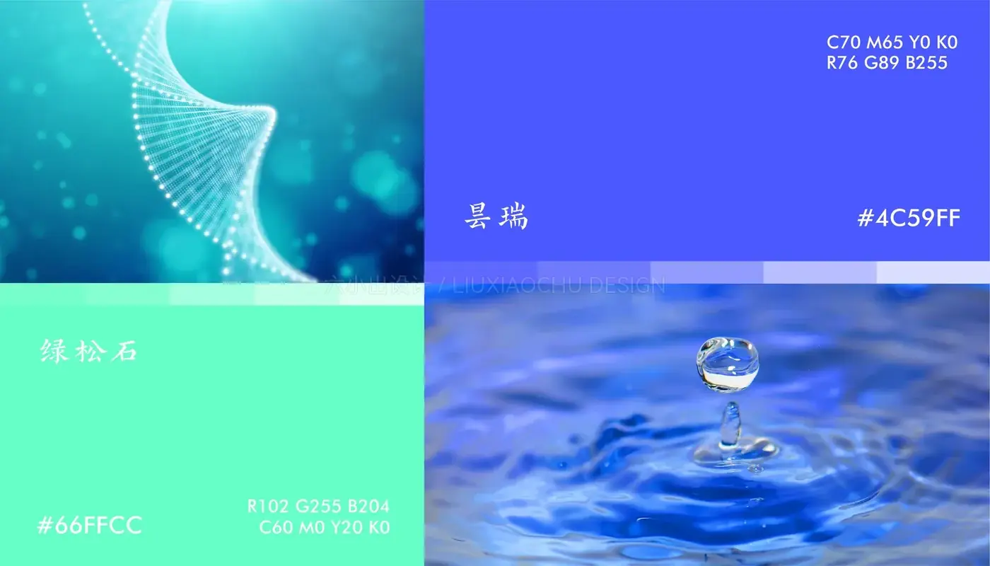 京港佳医 完整提案第 29 页