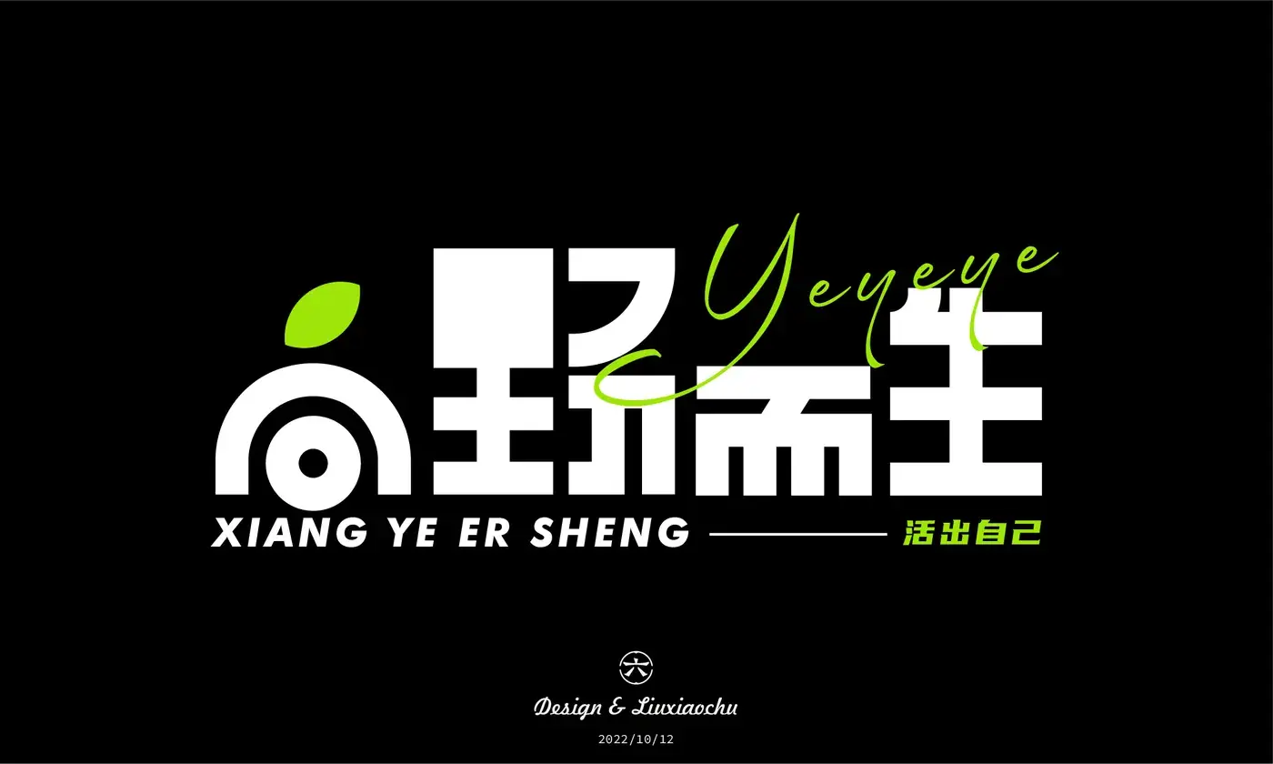 Logo 与字体设计合集 完整提案第 8 页
