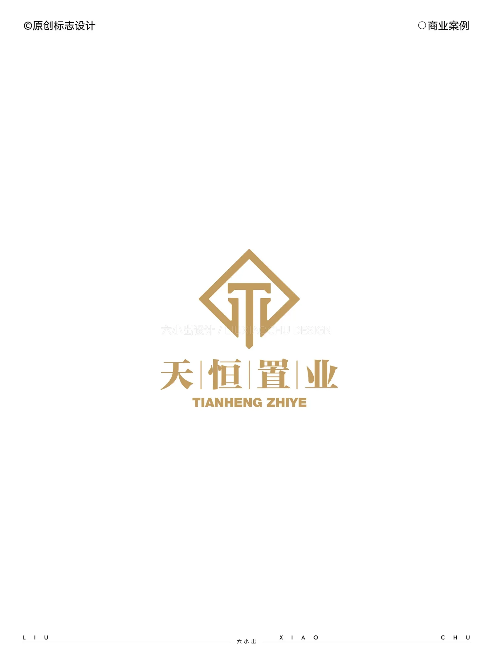 Logo 与字体设计合集 项目展示 10