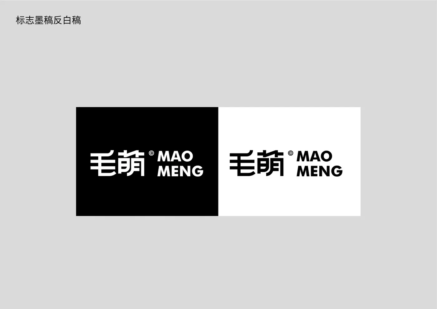 毛萌 MaoMeng 完整提案第 8 页