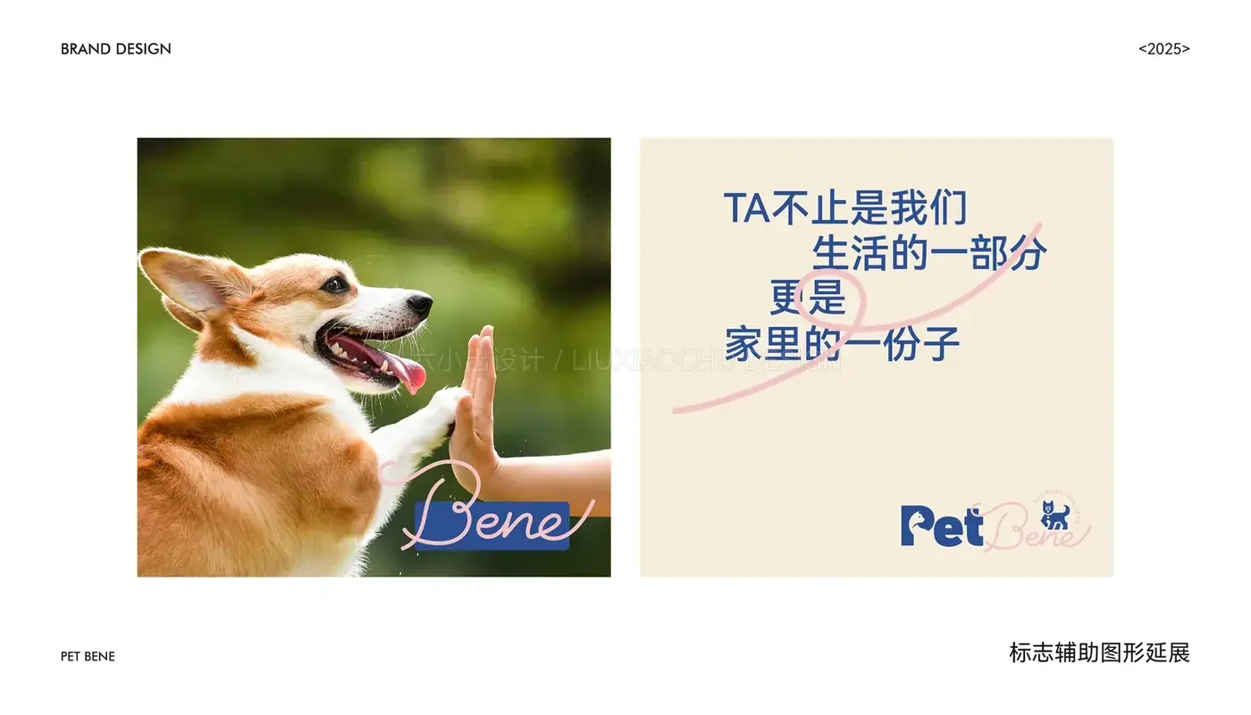 Pet Bene 完整提案第 41 页