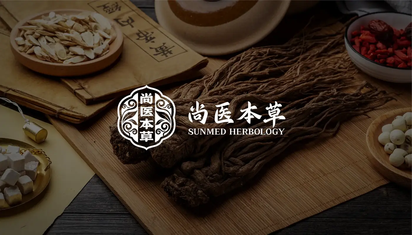尚医本草 完整提案第 9 页