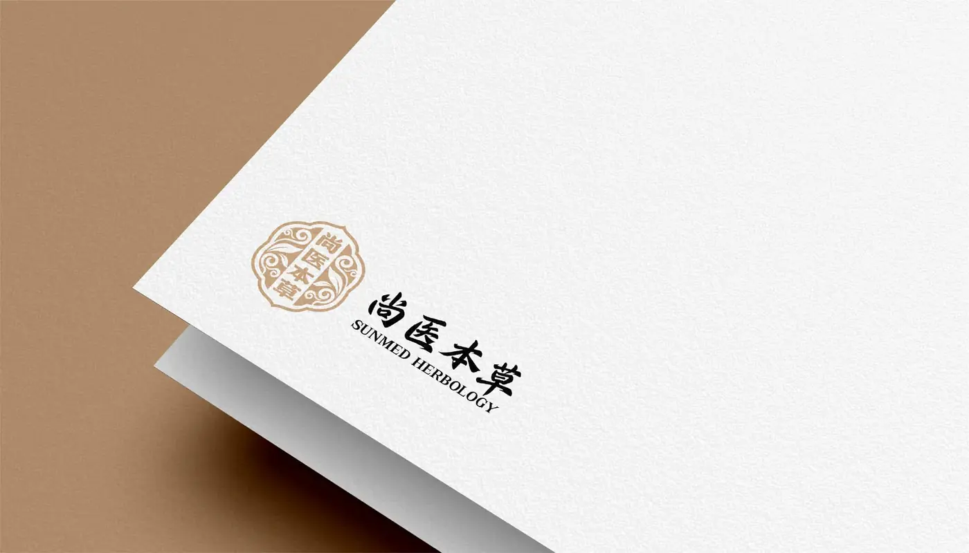 尚医本草 完整提案第 21 页