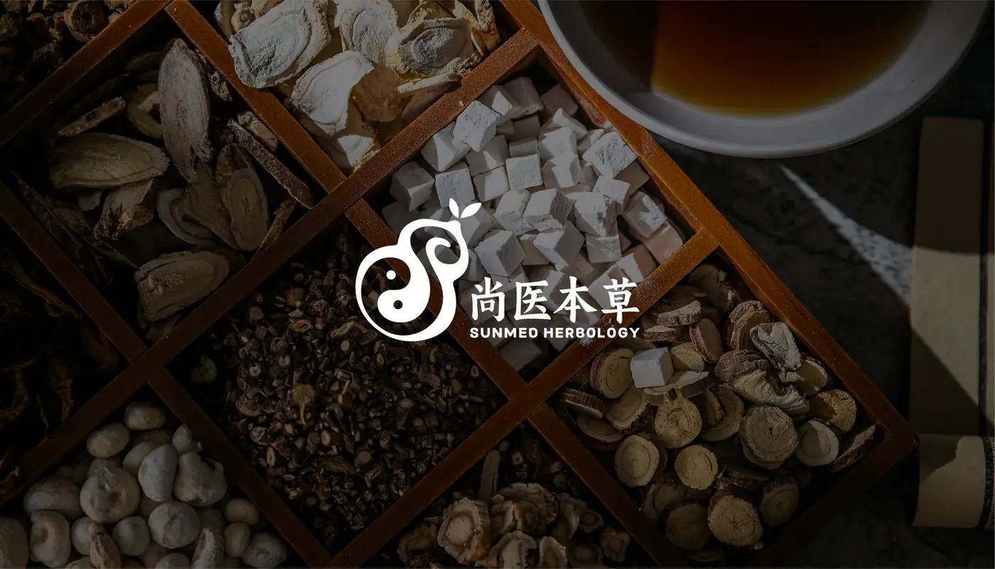 尚医本草 完整提案第 29 页