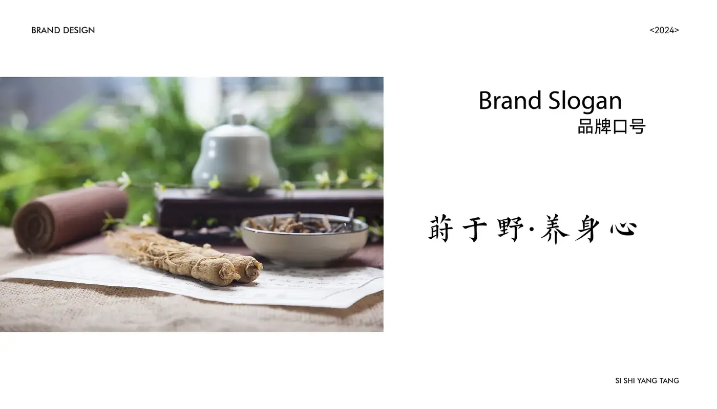 四莳养堂 完整提案第 4 页