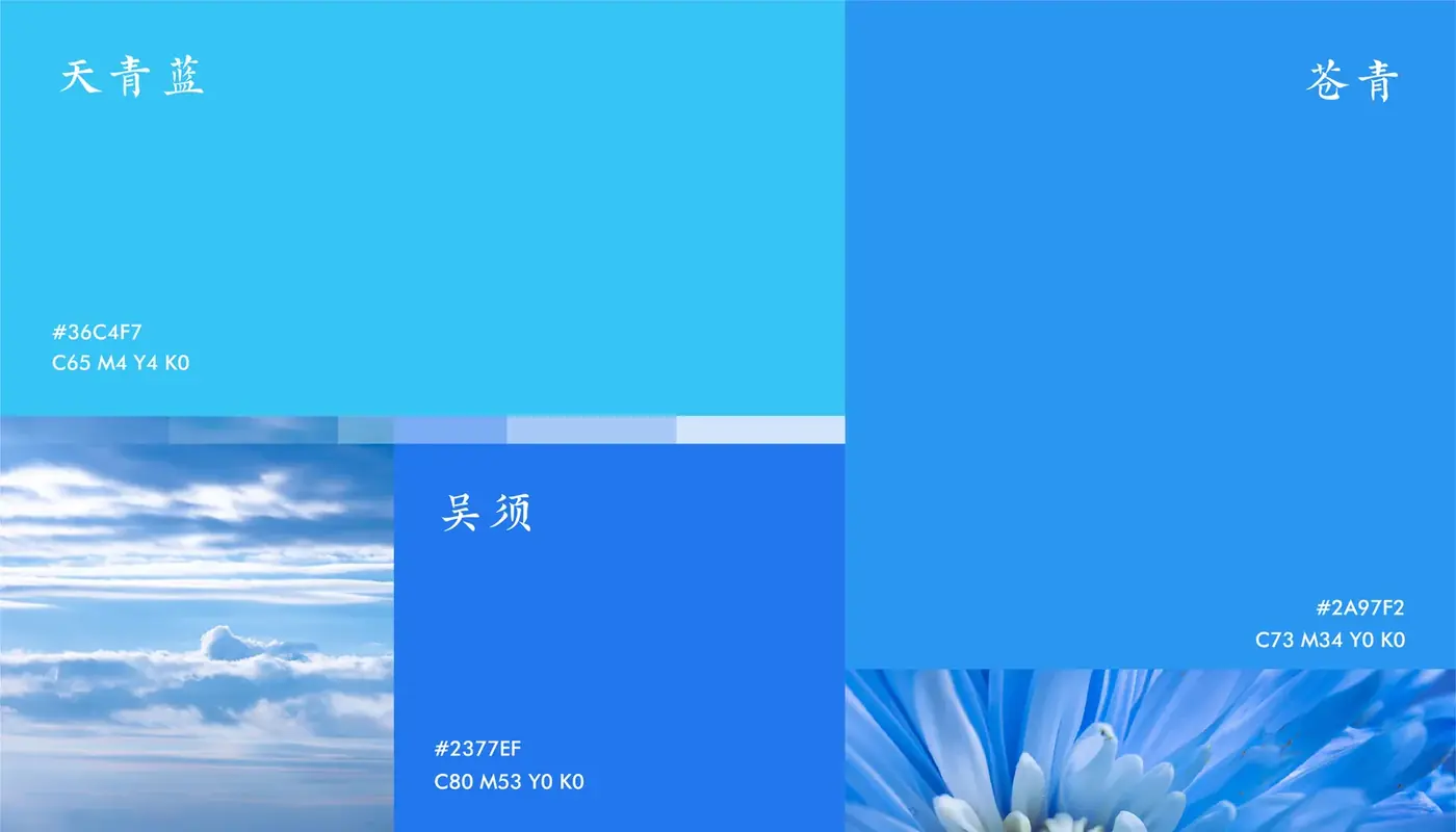 五元蒙医 完整提案第 8 页