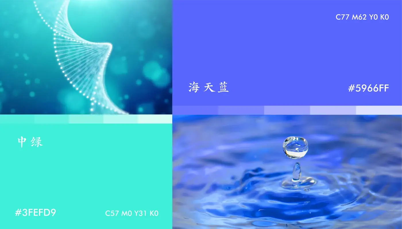 五元蒙医 完整提案第 25 页